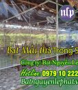 Giá Bạt nhựa trong suốt che mưa bạt kéo 450.000đ/1m2